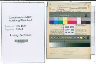 Entnazifizierung Ferdinand Ludwig , geb. 06.07.1901 (Ingenieur)