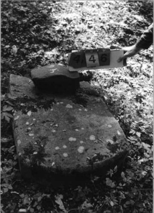 Grabstein 446 (Index: 99791213) Zustand: sehr stark verwittert, Fragment Beschreibung: Fragment: Grabstein 446