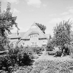 Bauernhaus mit Reetdach: im Vordergrund Garten mit Sträuchern und Bäumen