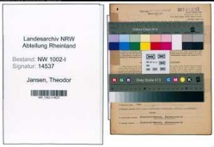Entnazifizierung Theodor Jansen, geb. 31.12.1900 (Kaufm.Angest.)