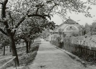 Dresden-Pillnitz. Weinpresse