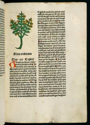 111r-111v, Gumi arabicum (201. Kapitel)