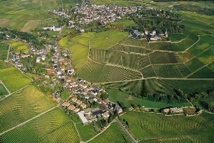 Schlossberg Johannisberg mit Schloss, Park und Weinberg; Geisenheim, Gesamtanlage I