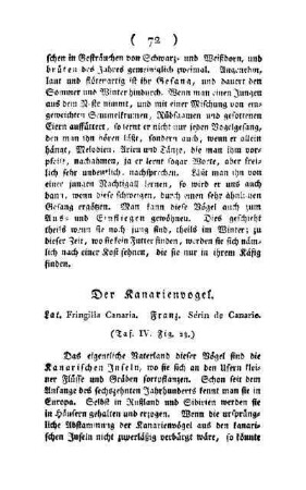 ¬Der¬ Kanarienvogel : Lat. Fringilla Canaria ; Franz. Sérin de Canarie ; (Taf. IV, Fig. 23)