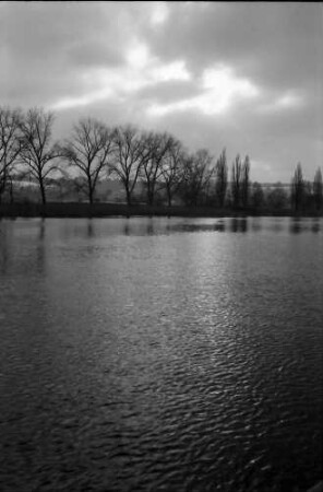 Gottlieben: Winterstimmung auf dem Rhein
