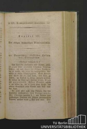 Kapitel XIV. Von einigen baumartigen Blumengewächsen.