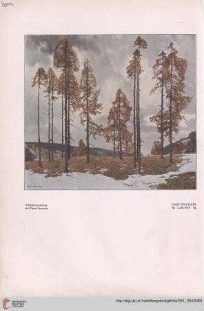 Heft 18 (15. Juni 1914)