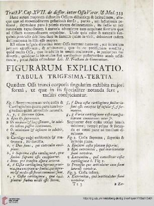 Figurarum explicatio: Tabula trigesima-tertia