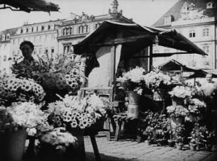 Blumenstand am Altmarkt, im Hintergrund rechts das Rathaus und die Scheffelstraße (Szene aus dem Dokumentarfilm "Fahrende Stadt)