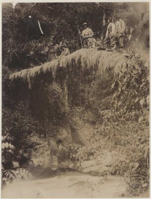 Brücke im bolivianischen Urwald