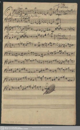 Violone.