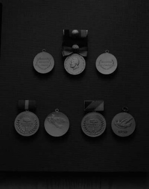 Ehrentitel der Deutschen Demokratischen Republik (DDR). Oben: Medaille "Verdienter Meister des Sports" (1953 übernommen). Variante der Verleihung 1971/1972 (Silber, vergoldet; 30,37 mm Durchmesser) an Bandschleife mit Staatswappen inklusive Interimsspange; links davon Revers mit Inschrift "Verdienter Meister des Sports" (ohne Bandschleife); rechts Revers der Variante der Verleihung 1955/1970 (Silber; 30,46 mm Durchmesser) mit Inschrift "Meister des Sports" (ohne Bandschleife). Unten, von links: Medaille "Verdienter Züchter" (Silber; 30 mm Durchmesser; 1952 gestiftet). Variante ab 1964 an Spange (grün bezogen; 13,5 x 24 mm). Avers mit Spange und Revers mit Friedenstaube (ohne Spange); Medaille "Verdienter Tierarzt" (Silber; 34,5 mm Durchmesser; 1952 gestiftet) an Spange (emailliert; 14 x 27 mm). Avers mit Spange und Revers mit Friedenstaube und Verleihungsjahr (ohne Spange)
