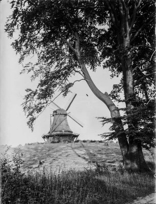 Windmühle : Blick auf eine Windmühle. Im Vordergrund ein Baum.