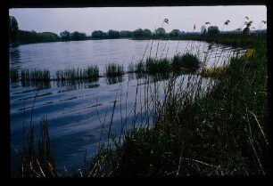 Havel b. Ketzin 16.5.80.
