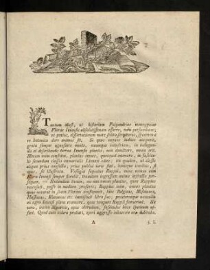 3-26, Text