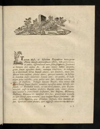 3-26, Text