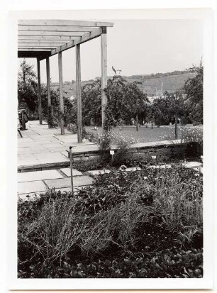 Reichsgartenschau 1939 auf dem Killesberg, Stuttgart: Terrasse mit Pergola, Sitzmauer
