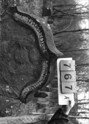 Grabstein 767 (Index: 99751576) Material: Sandstein Zustand: abgeblätt/verwitt/fast völl. Textverlust Maße HxBxT: 149x86x10 cm Beschreibung: Stele, eingezogener Kielbogenabschluß Symbolik: Löwenpaar herschauend als Schildhalter, Krone, Voluten, Ranken: Grabstein 767A