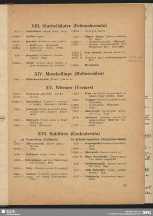 XV. Würmer (Vermes)