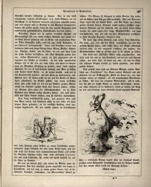 "Abenteuer in Australien"