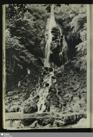 Der Trusetaler Wasserfall