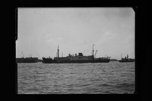 Minerva (1939), Neptun.- Dampfschifffahrts-Gesellschaft „Neptun“, Neptun Linie, D.G. "Neptun", Bremen