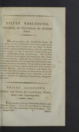 Eilfte Vorlesung. Beschreibung des Nervensystems der wirbellosen Thiere.