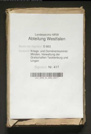 Reparatur der Windmühle zu Schale