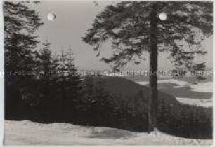 Winterlandschaft, Sauerland