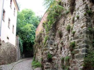 Meißen: Burgmauer an der Freiheit