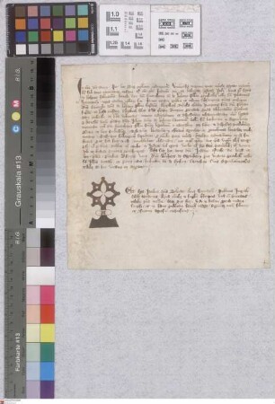 Leeheim: Instrumentum Notariale super consensu Emerchonis dicte de Leheym plebani parochialis ecclesiae sancti Johannis Wormatiensis, Elyzabeth re...