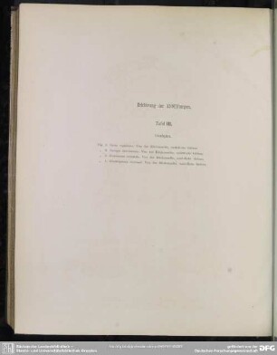 Erklärung der Abbildungen. Tafel III
