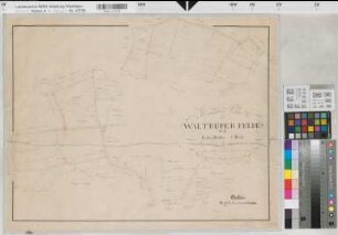 Altenberge (Altenberge), Teilung des Waltruper Feldes, Bl. 1 Brouillonkarte