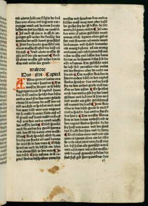 33r-33v, Walrose (46. Kapitel)