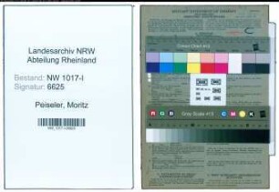 Entnazifizierung Moritz Peiseler , geb. 27.01.1885 (Handlungsgehilfe)