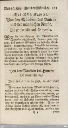 Das XVI. Kapitel. Von den Mäuslein des Hintern und der männlichen Ruthe. De musculis ani & penis