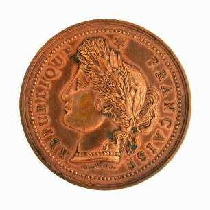 Preis-Medaille für landwirtschaftliche Verdienste, 1877