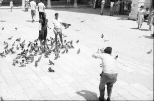 Dubrovnik: Taubenfütterung am Luza Platz