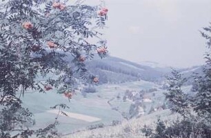 Blick auf eine Ortschaft im Erzgebirge
