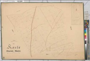 Madfeld (Brilon), Separation der Gemeinde Madfeld, Bl.2 Reinkarte Flur 2