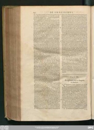 Cap. IX. De differentia Idoli & Imaginis, & simulacri.