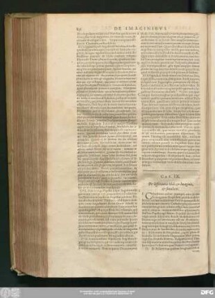 Cap. IX. De differentia Idoli & Imaginis, & simulacri.
