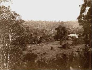 Xingu