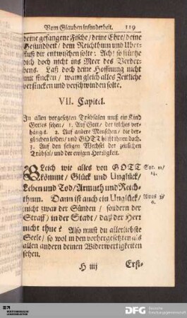 VII. Capitel.