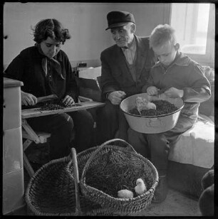 Jungpioniere auf Bauernhof, Bild 1, 1960. SW-Foto © Kurt Schwarz.
