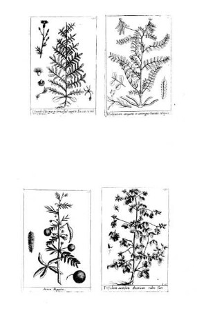 1136-1139
