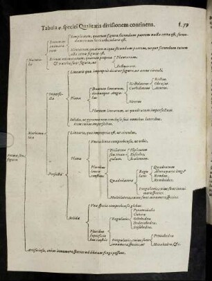 Tabula 4. specie Qualitatis divisionem continens.