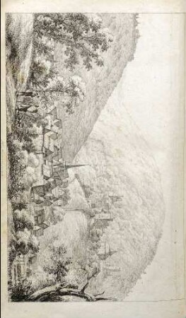 Neckarsteinach