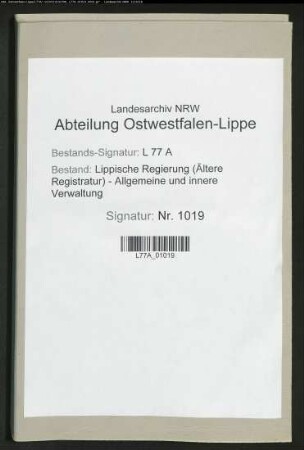 Anstellung der Auditoren beim Amt Schieder