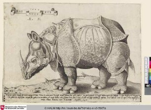 [Un rhinocéros; Rhinoceros; Rhinocerus]
